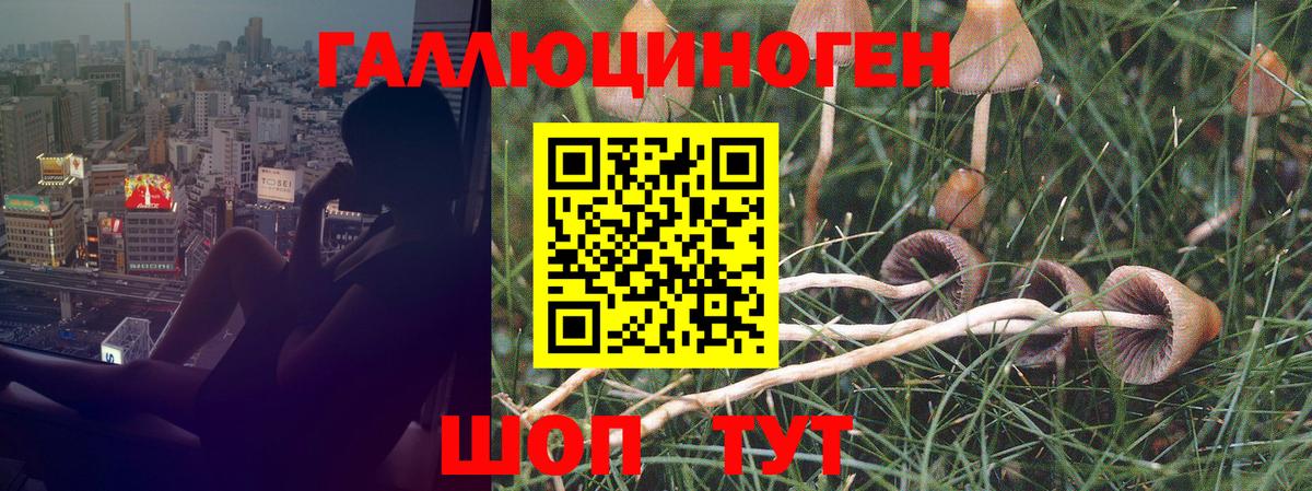 Галлюциногенные грибы GOLDEN TEACHER  Вход с VPN  Мегион  Галлюциногенные грибы прущие грибы 